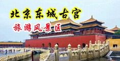 蜜穴福利网站中国北京-东城古宫旅游风景区